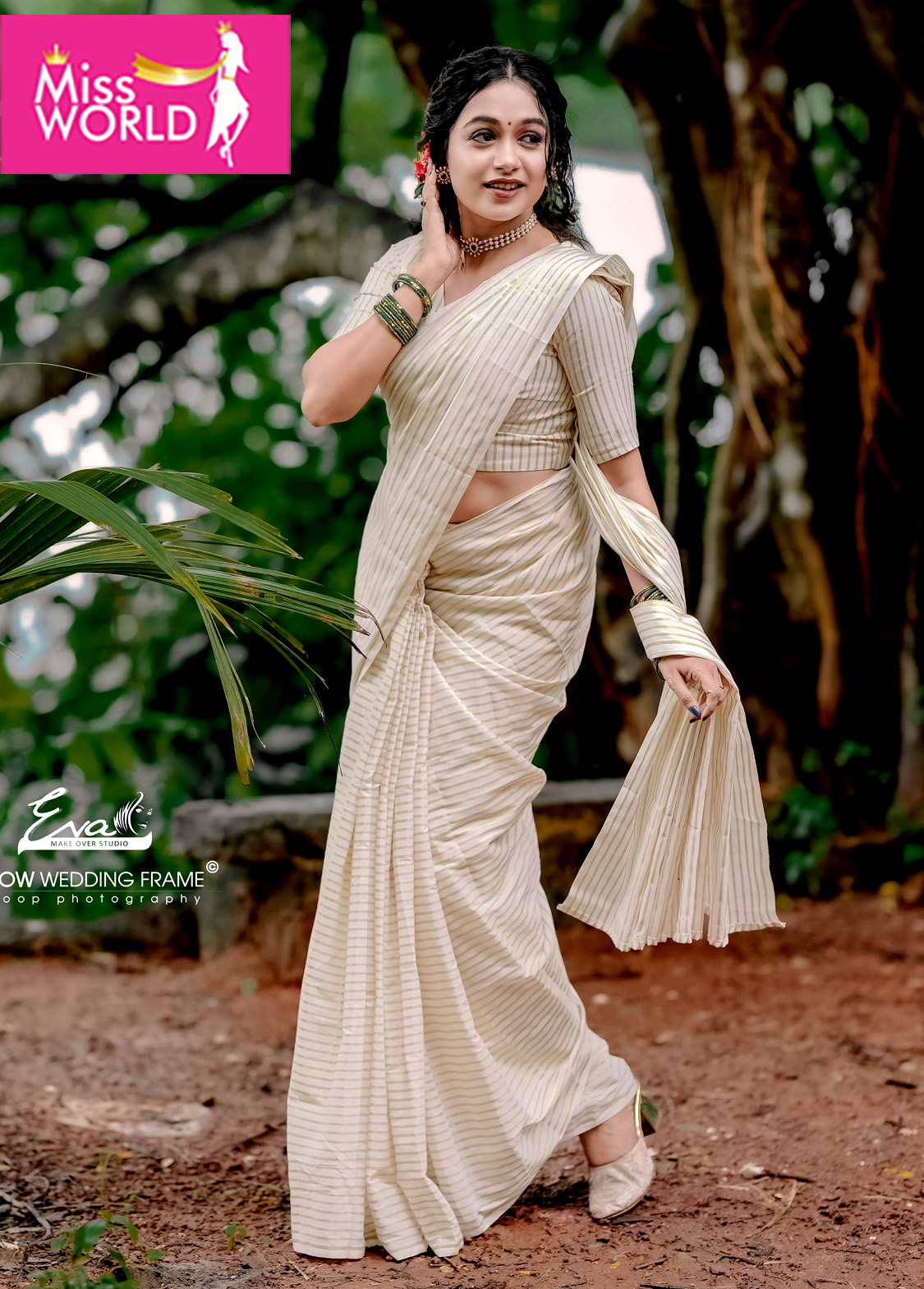 Micro Stripes Saree
