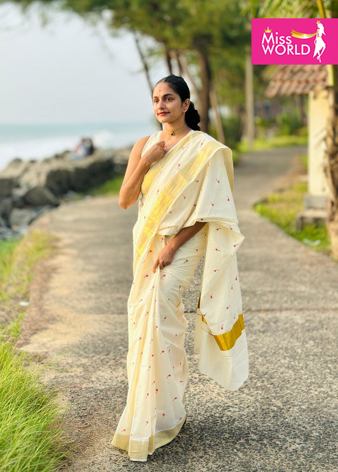 Thechipoo Embroidery Saree